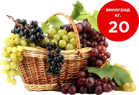 Экономия на водосчетчиках